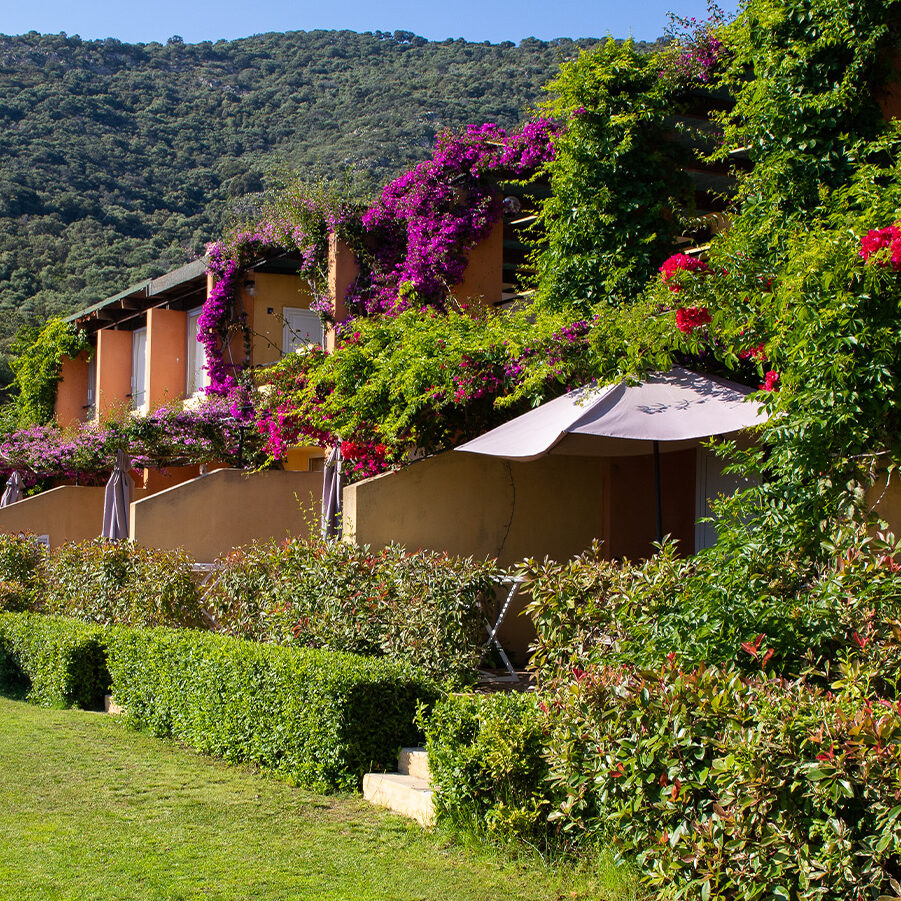 Location en corse Helios 1 6 personnes