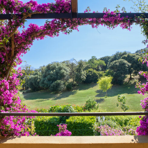 Hotel Résidence à Cargèse - Corsica