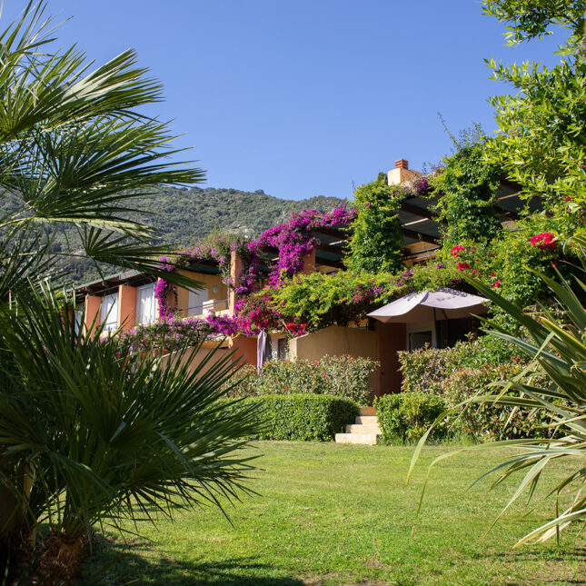 Résidence Helios - Cargèse - Corsica